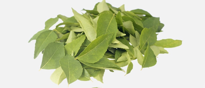 Curry leaves against gray hair