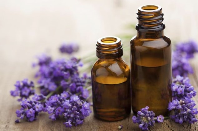 Lavender Essential Oil