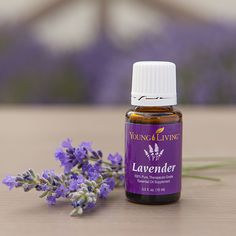 Lavender oil in a bottle