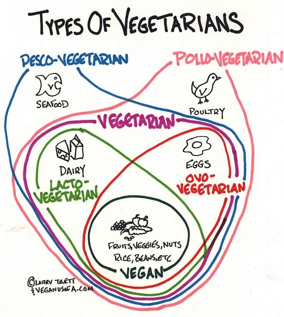 Tyoes if vegetarians lacto, pesco