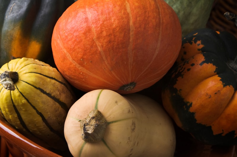 Squash Anti-Inflammatory Food