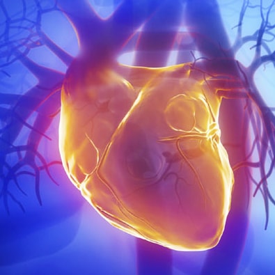 17 Types of Heart Disease & Heart Problems - Care4Women